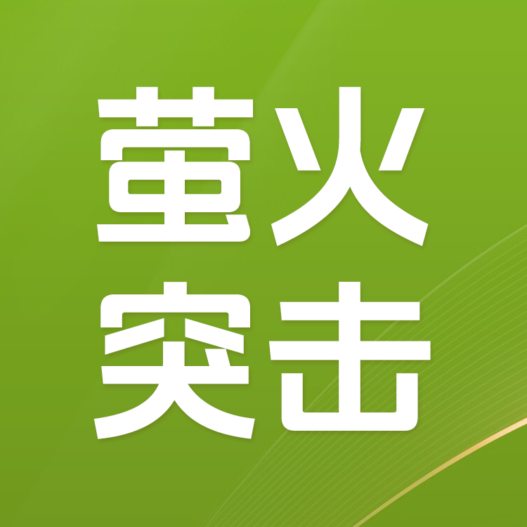 ka-leka 网易手游萤火突击陨金 会员官方直充