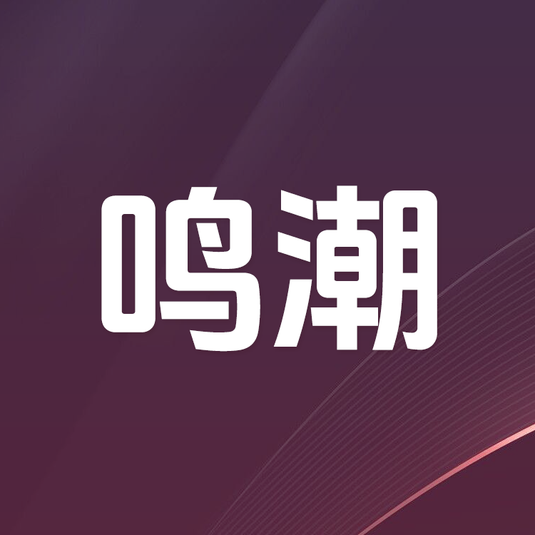 ka-leka 鸣潮手游