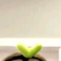 m******u